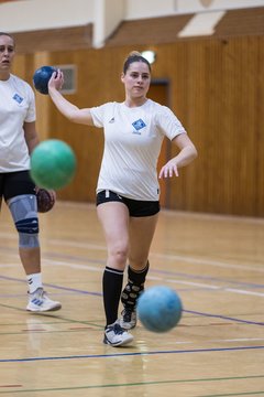 Bild 112 - F TSV Ellerau - HSG Tills Loewen 08 : Ergebnis: 16:18